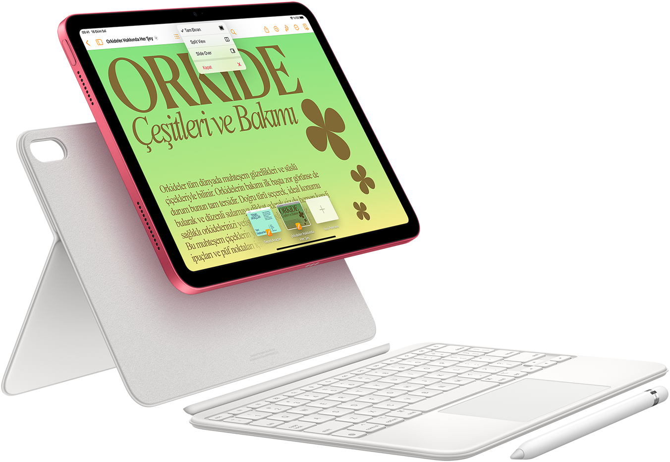 iPad, Magic Keyboard Folio ve Apple Pencil gösteriliyor.